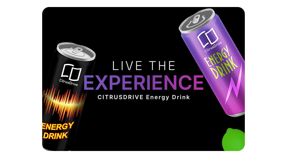 Visual Design & Key Screens 2