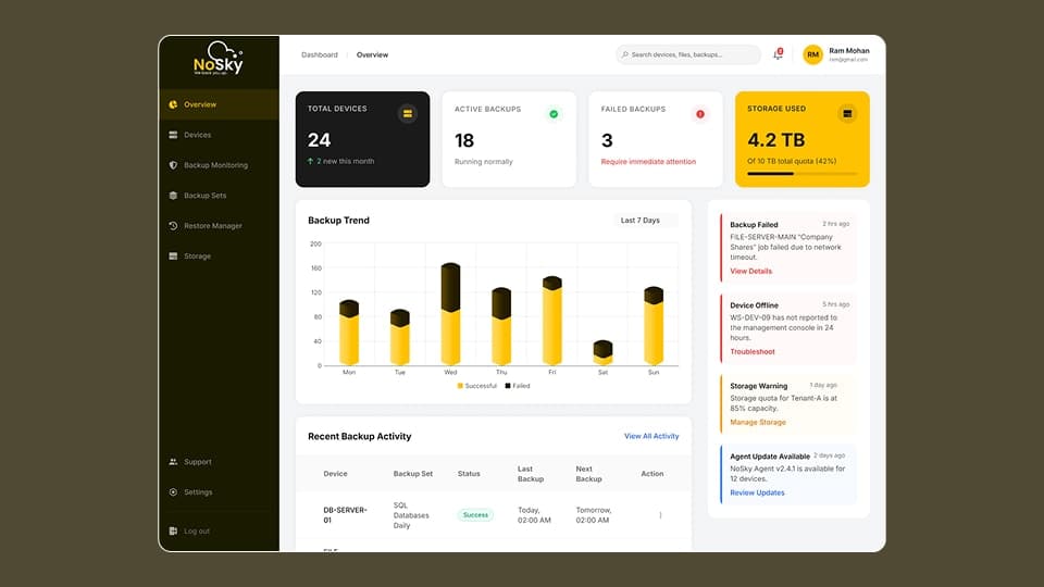 NoSky Backup Platform - Cloud Backup Monitoring Dashboard - UI/UX design case study by Saurabh Pansari